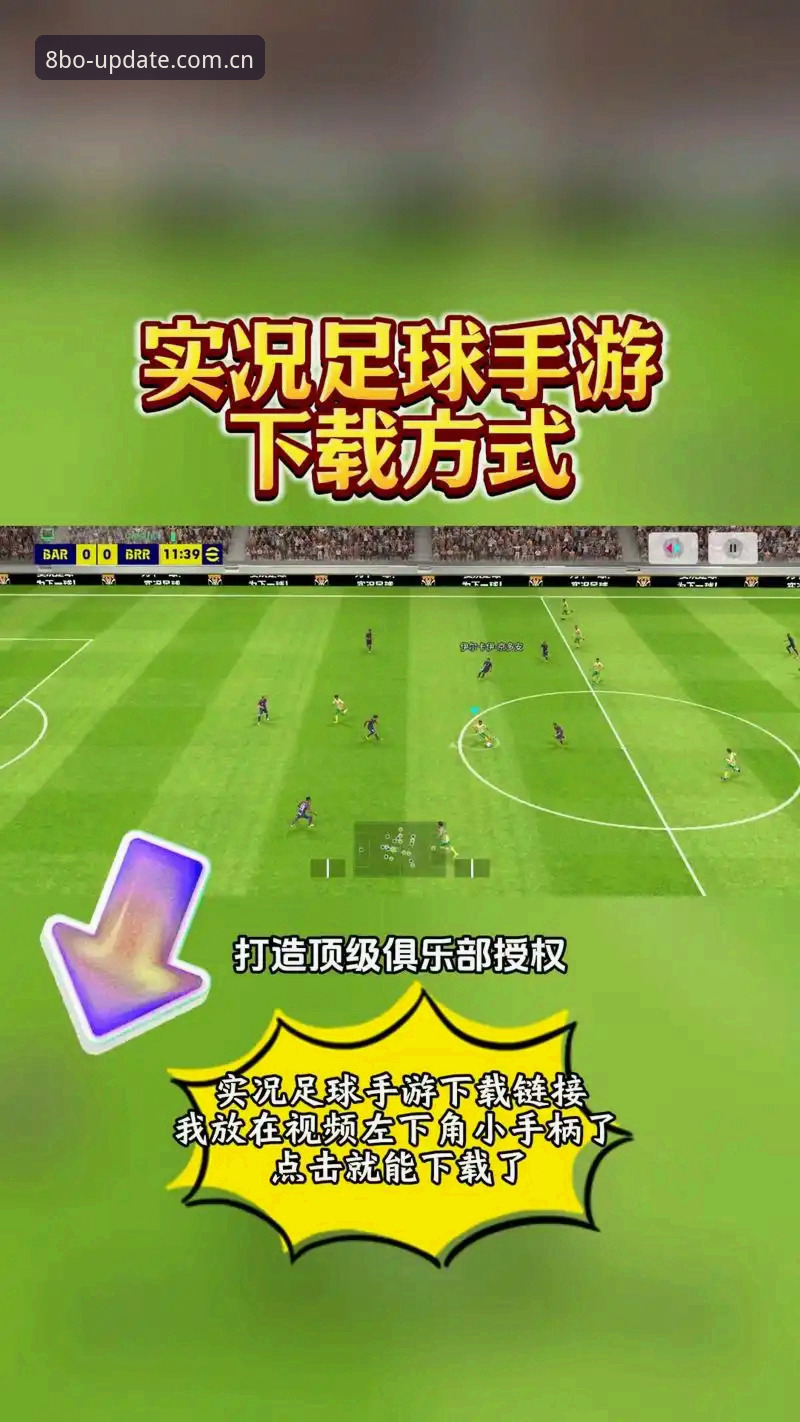 博体育手机应用攻略：从下载到实战的完整指南